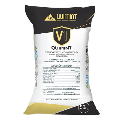 quimint v1