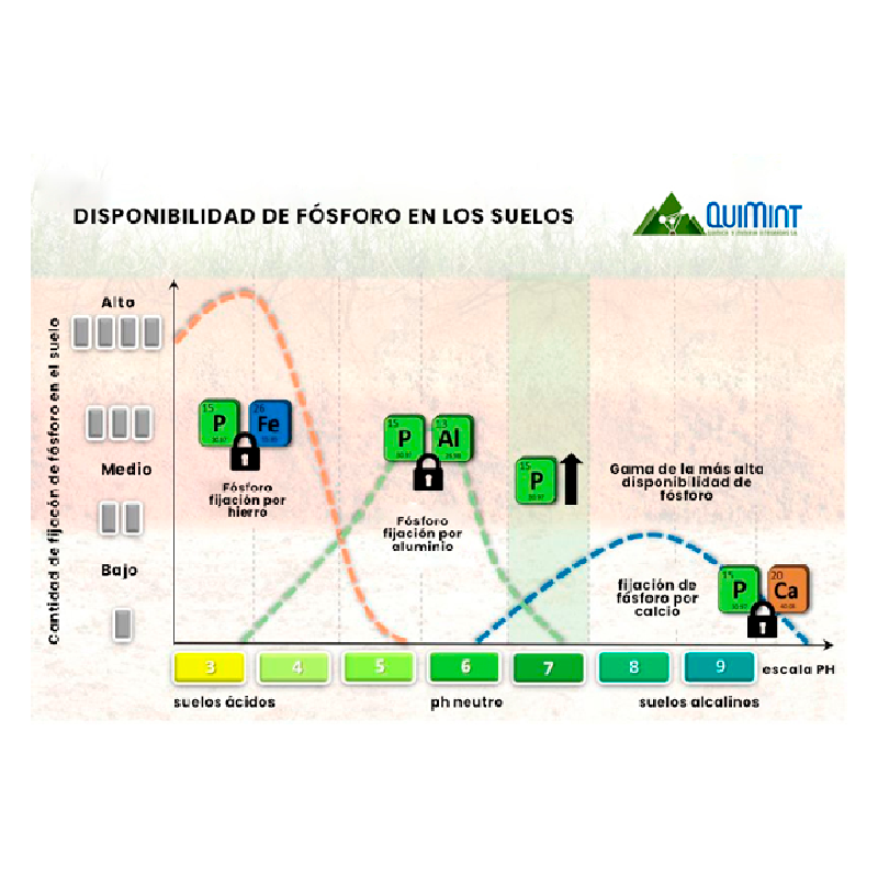 Disponibilidad de Fosforo