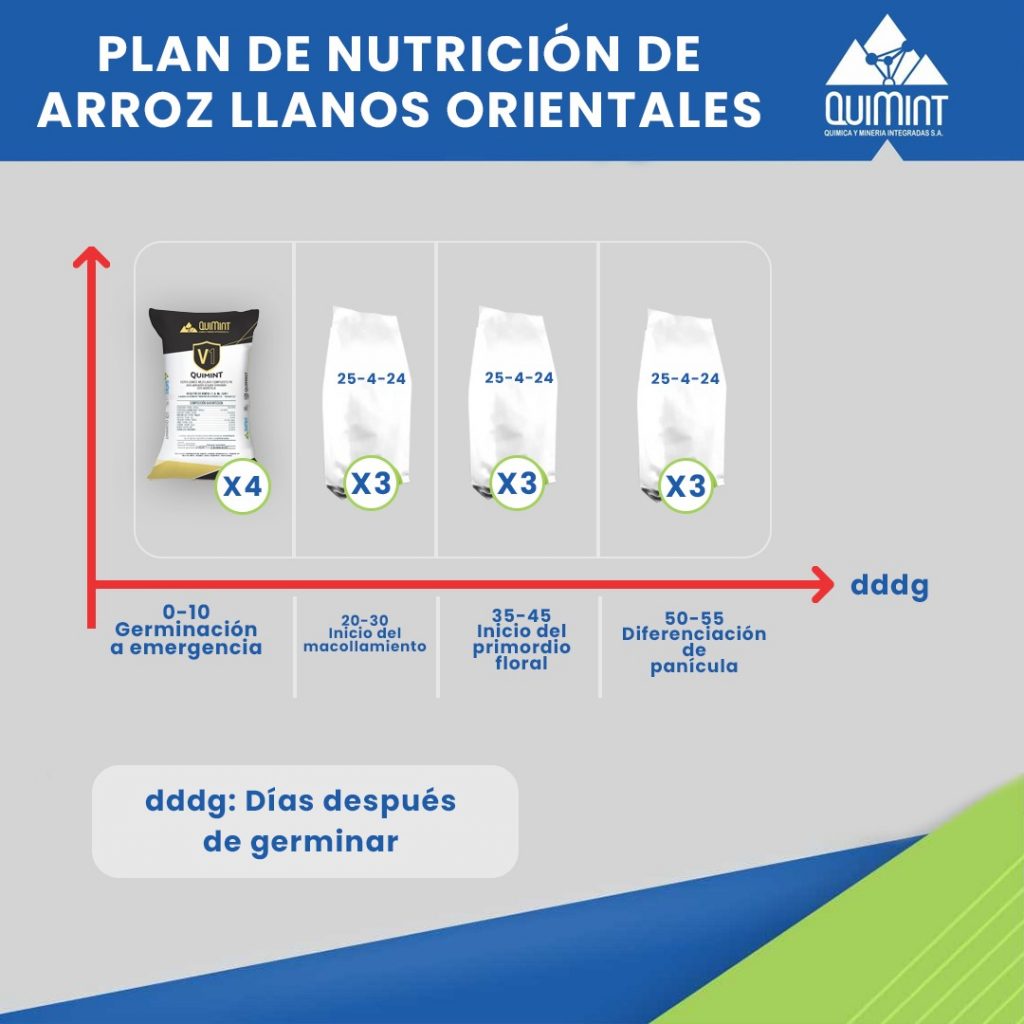 Plan de nutrición de arroz Llanos Orientales