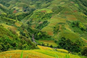 Corrección de acidez en los suelos colombianos, correccion de acidez, acidez en los suelos colombianos, acidez en los suelos, quimint